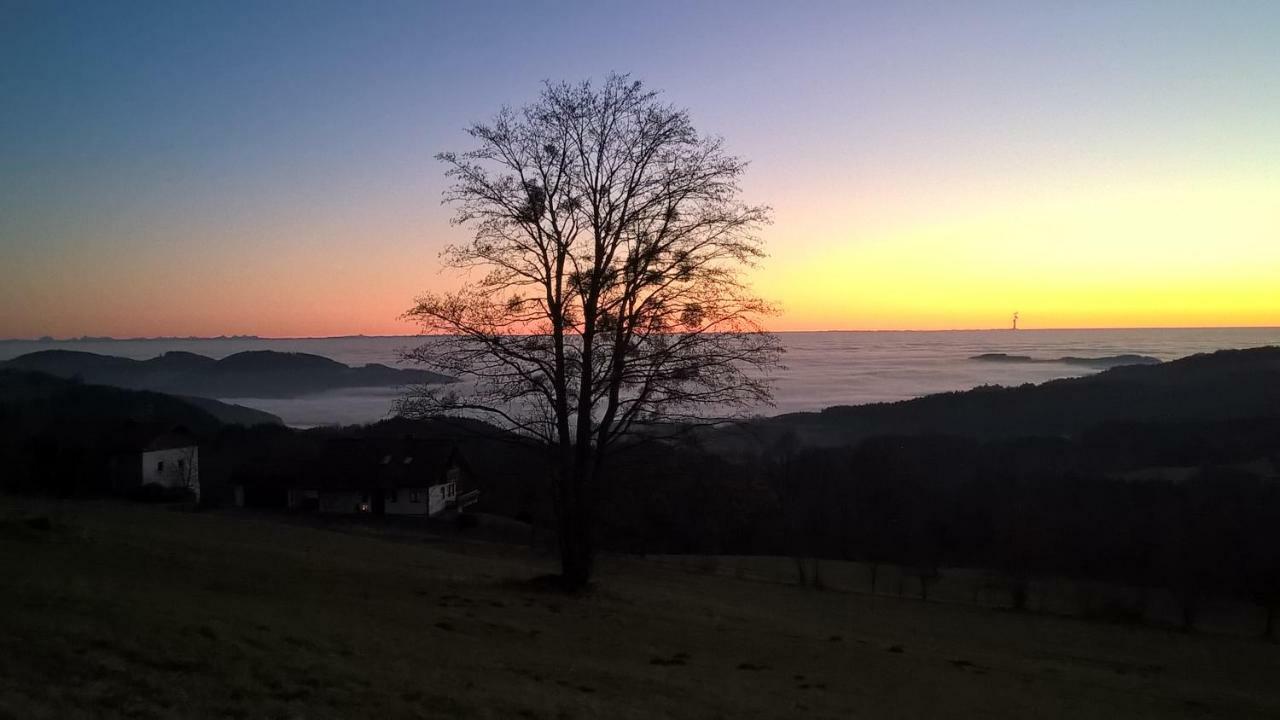 Ferien Vom Ich, Bayerischer Wald, Hotel & Restaurant Neukirchen  Exterior foto