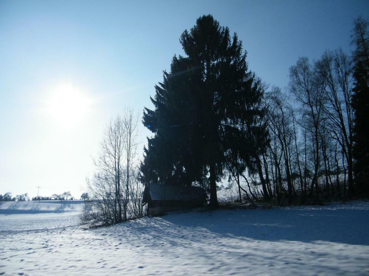 Ferien Vom Ich, Bayerischer Wald, Hotel & Restaurant Neukirchen  Exterior foto